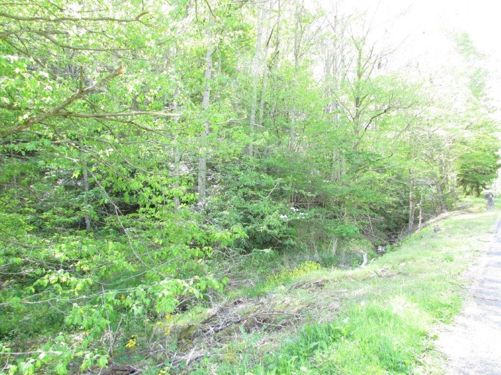 Clarktown Road, Roan Mountain, TN 37687, Carter